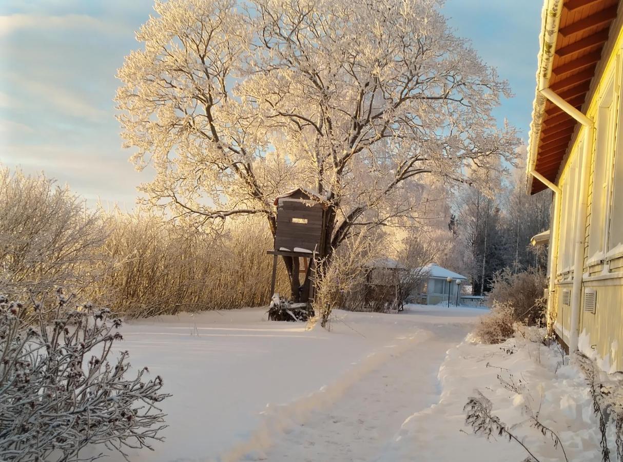 Majatalo Myoetaetuuli Hotel Pitkajarvi  Buitenkant foto